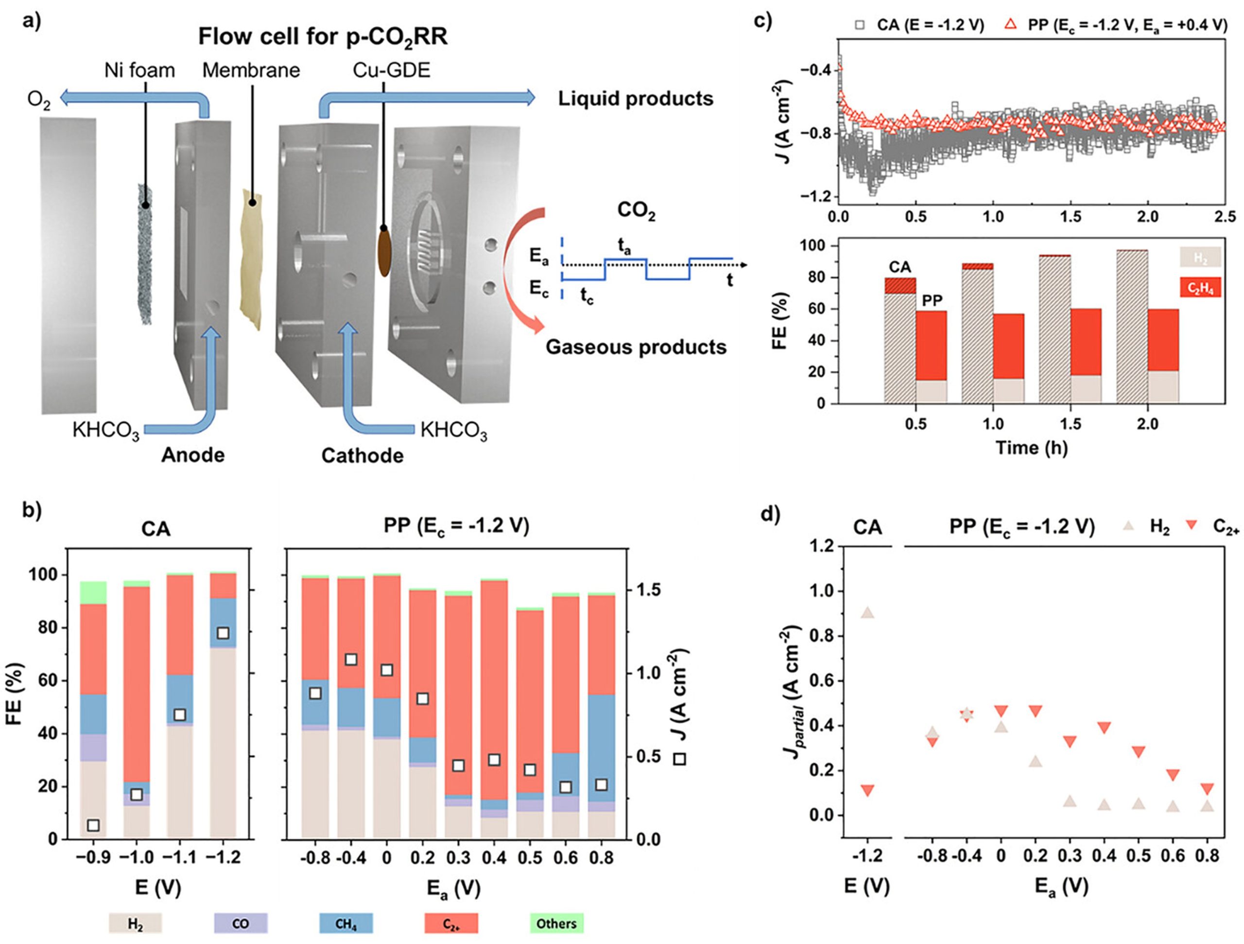 图1 脉冲电解在工业级电流密度下显著提升 CO2 电还原至多碳产物选择性